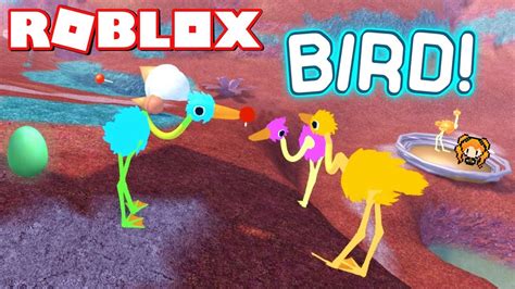 Roblox T Shirt Bird