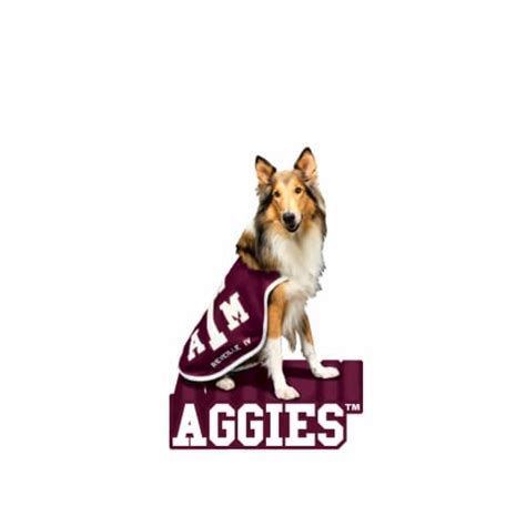 Evergreen Texas A&M, Mascot Statue, One Size - Fred Meyer