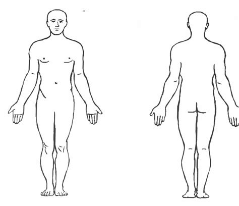 Anatomical Position Diagram | Quizlet