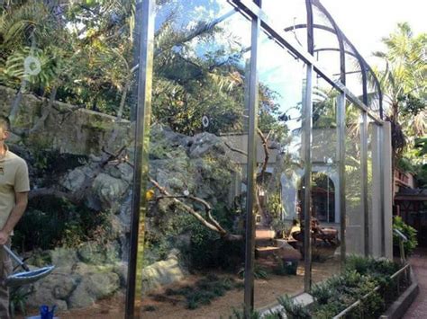 2158 best images about Aviaries and Enclosures on Pinterest | Quails, Parrot cages and Zoos