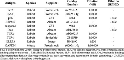 Primary antibodies used in this study. | Download Scientific Diagram