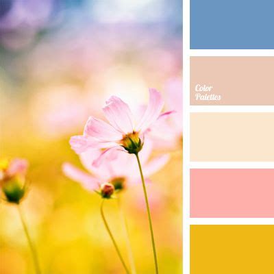 color of salmon color for decoration | Color Palette Ideas | Blue color ...