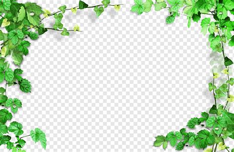 Green leaves frame,plant frame, sunflower border, plant frame, psd material png | PNGWing