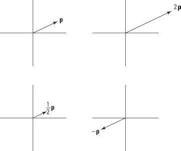 Using Scalar Multiplication with Vectors - dummies