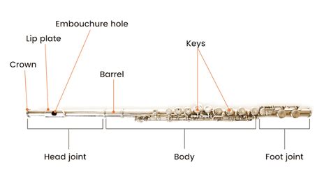 The Different Parts Of A Flute: Anatomy And Structure