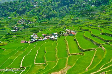 Elal Lasola Travel & Photography: Photograph | My Rice Terraces Dream