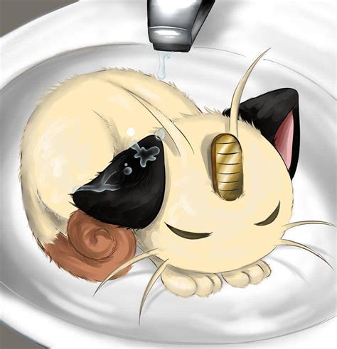 Download Meowth Sleeping In The Sink Wallpaper | Wallpapers.com