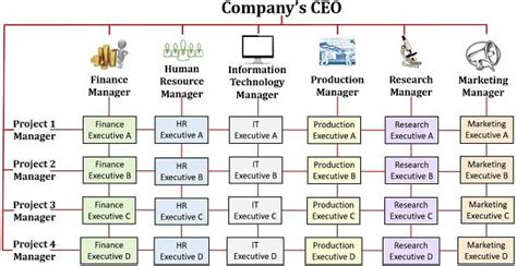 What is Matrix Organizational Structure? Definition, Roles, Features, Example, Diagram, Types ...