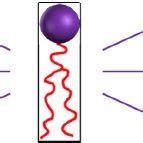 Examples of amphiphile applications. | Download Scientific Diagram