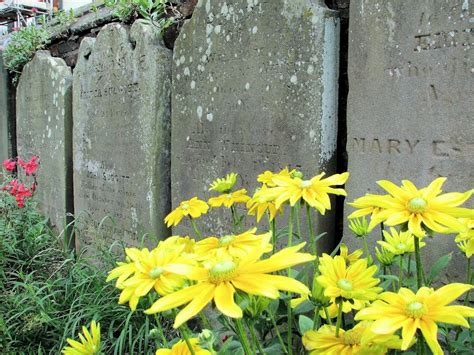 Free stock photo of cambridge, cemetery, churchyard