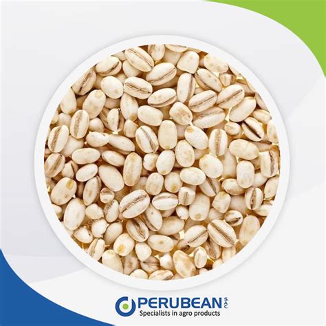 Cebada perlada/morón - Perubean - Variedad de Menestras, Granos, Cereales