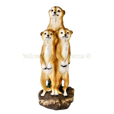 Meerkat family | Yellow Teacup Events