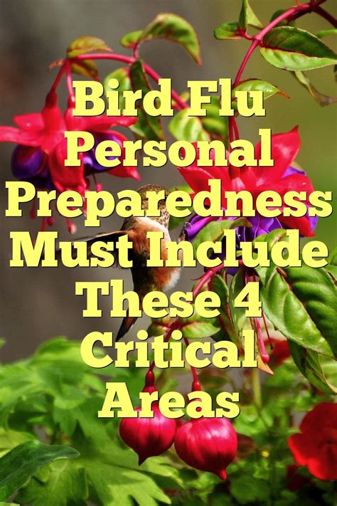 Bird Flu Personal Preparedness Must Include These 4 Critical Areas | by ...