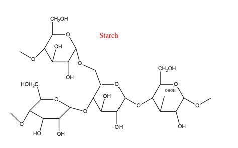 Polysaccharide Definition