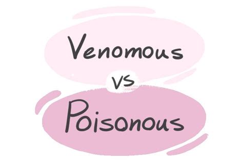 "Venomous" vs. "Poisonous" in English | LanGeek