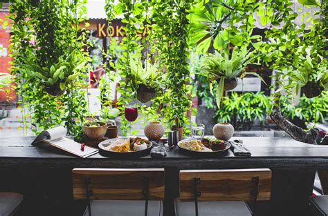 How To Use Plants In Restaurant Interior Or Cafe Interior