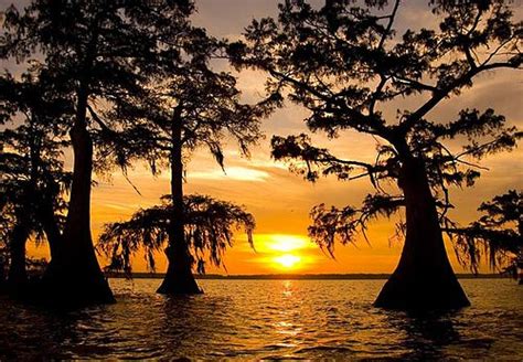 Atchafalya Sunset | Sunset, Louisiana swamp, Beautiful sunset