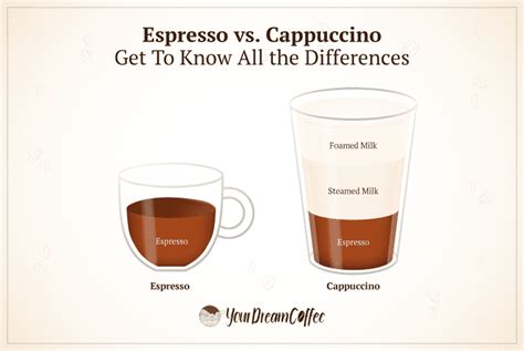 Espresso vs. Cappuccino: Get To Know All the Differences