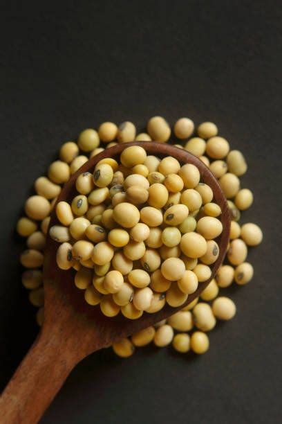 Organic Soybean Market Analysis: Growth Drivers and Future Trends | by Daniel Disosa | Mar, 2024 ...