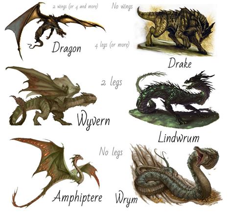 What style of winged dragon do you prefer? : r/worldbuilding