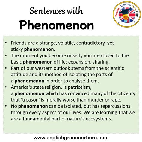 Sentences with Phenomenon, Phenomenon in a Sentence in English, Sentences For Phenomenon ...