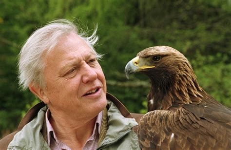 Sir David Attenborough revealed as the nation’s favourite TV ...