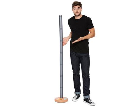 Festivus Pole Happy Festivus / The festivus pole is a decoration that ...