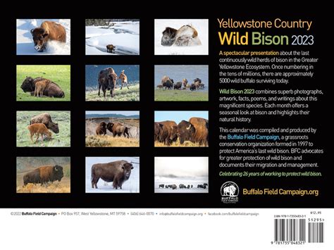 2023 Wild Bison of Yellowstone Country Calendar