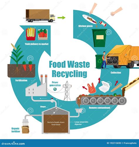 Illustrative Diagram of Food Waste Recycling Process Stock Vector ...