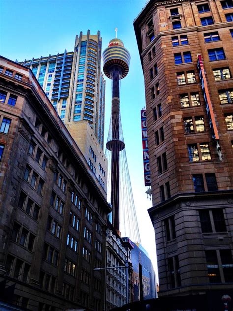 Sydney Tower | Tower, Sydney australia, Skyscraper