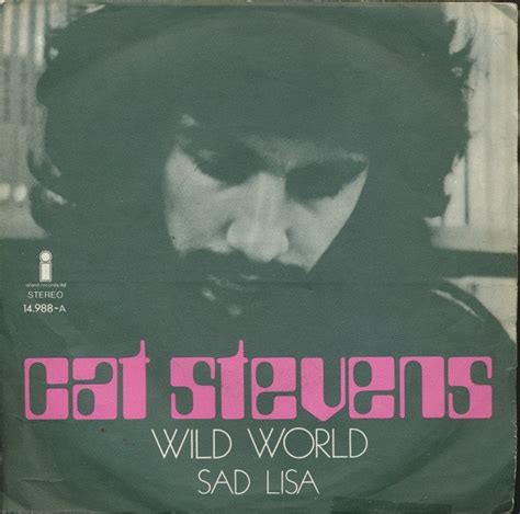 Cat Stevens - Wild World (1971, Vinyl) | Discogs