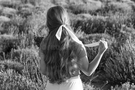 Provence Girl at Lavender Flowers Field at Summer Holidays at Sunset Stock Photo - Image of ...