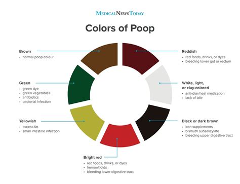 poop: Latest news, Breaking headlines and Top stories, photos & video in real time - Scoopnest.com