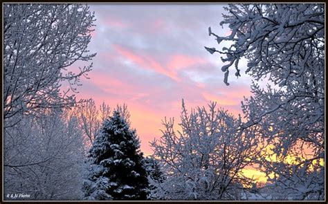 Frosty Morning Sunrise | EXPLORE: Feb 11, 2009. Our back yar… | Flickr