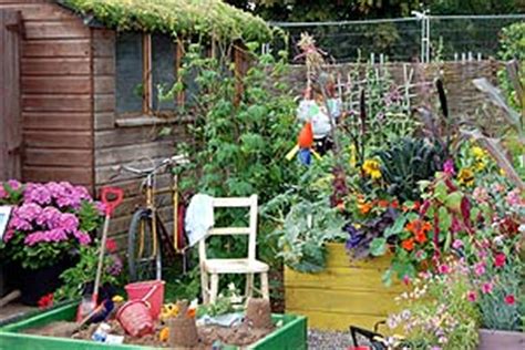 BBC - RHS Summer Flower Shows Blog: My dream allotment