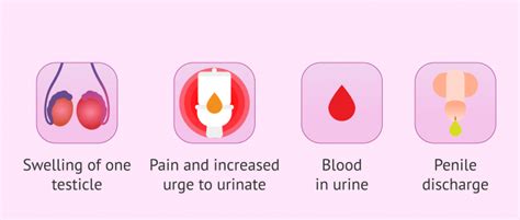 Symptoms of epididymitis