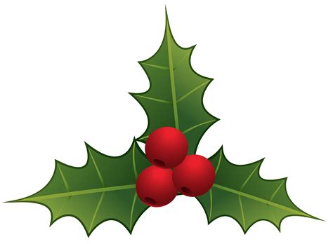 Mistletoe PNG Clipart - Best WEB Clipart