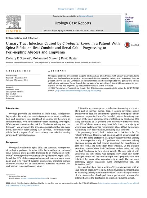 (PDF) Urinary Tract Infection Caused by Citrobacter koseri in a Patient ...