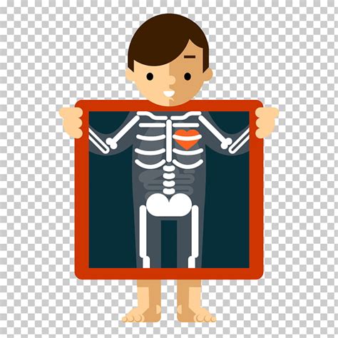 free xray clipart 10 free Cliparts | Download images on Clipground 2024