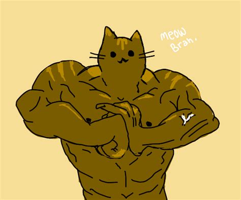 Very buff cat - Drawception