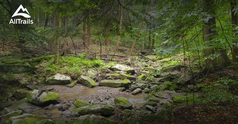 10 Best hikes and trails in Allegany State Park | AllTrails