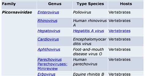 All about Viruses: Picornaviridae and Orthomyxoviridae