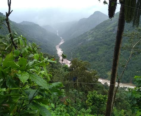 Kerala hit by worst flood in nearly a century, here's how the lives are ...