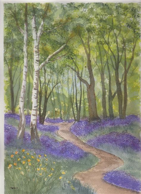 Bluebell Wood - watercolour Watercolor Landscape Paintings, Watercolour Painting, Watercolours ...