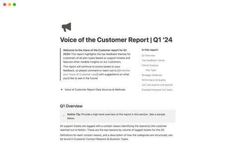 Voice of Customer Report Template by Kayla Eliaza | Notion Marketplace