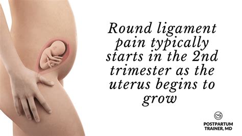 Round Ligament Stretching [What to Do When You Have Pain] - Postpartum Trainer, MD