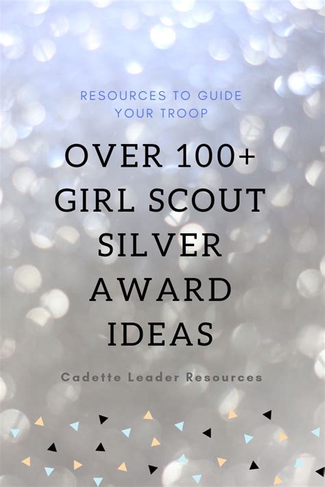 100 Girl Scout Silver Award Ideas in 2024 | Girl scout silver award ...