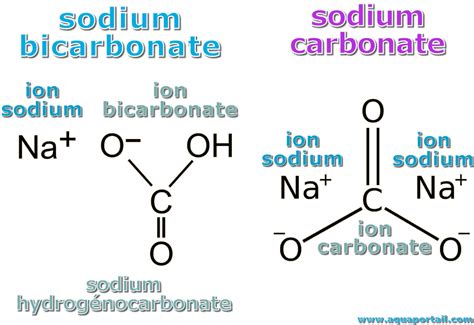 Mise à jour 77+ imagen ion carbonate formule - fr.thptnganamst.edu.vn