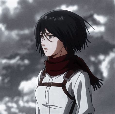 Mikasa Aot Icons - harddrive1tbportableseagate