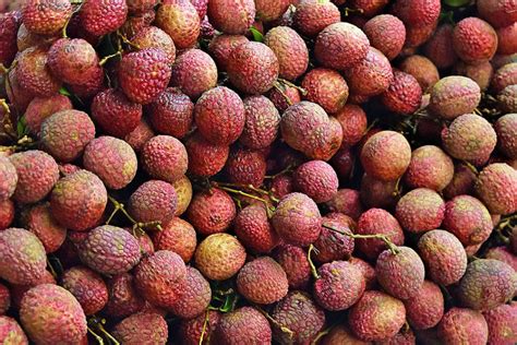 Litchi (Lychee) Season in India 2018 – Rove.me